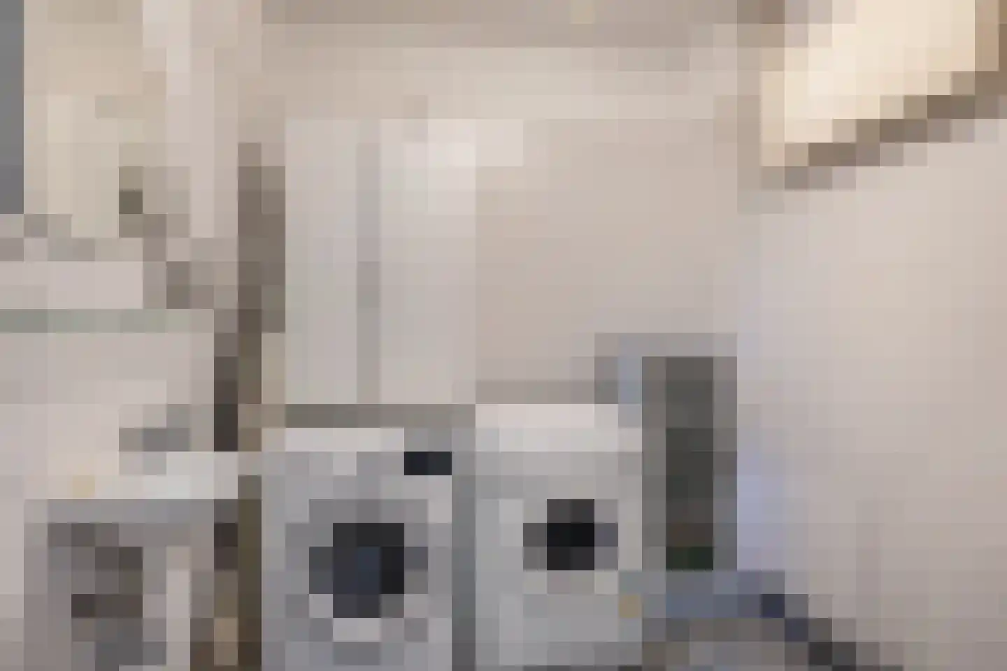 Kaagpoldererf 4 Gouda thumbnail 18