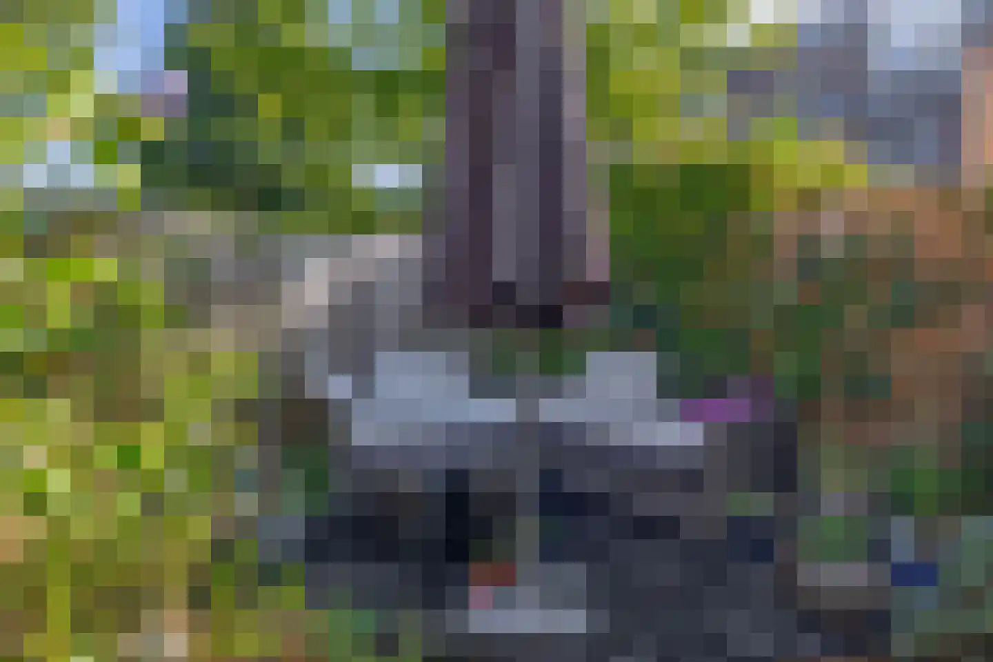 Kaagpoldererf 4 Gouda thumbnail 22