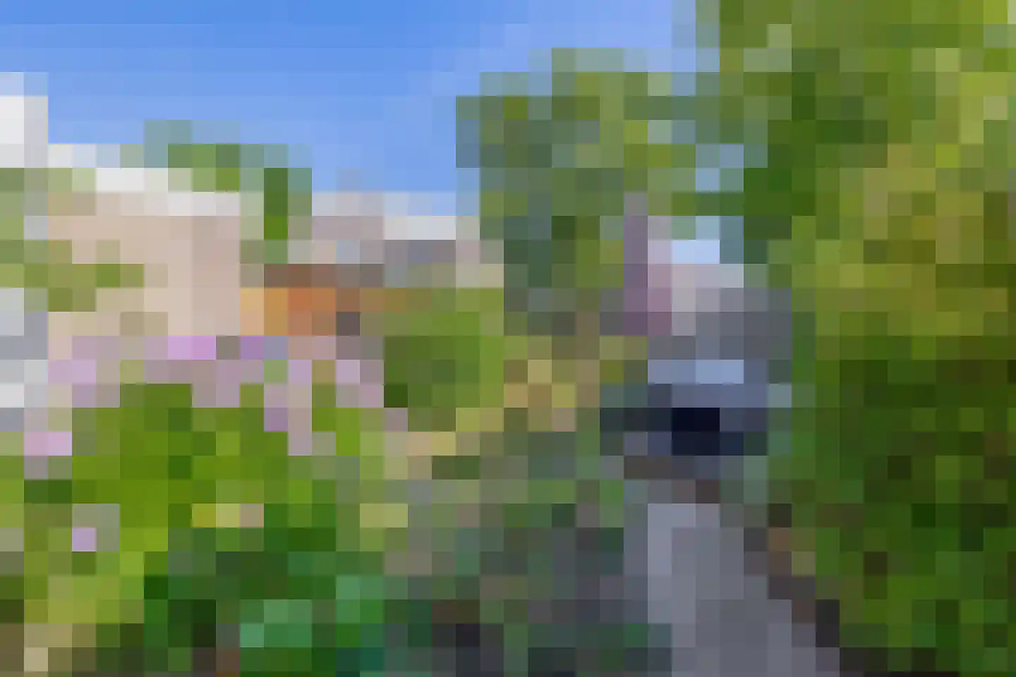 Kaagpoldererf 4 Gouda thumbnail 23