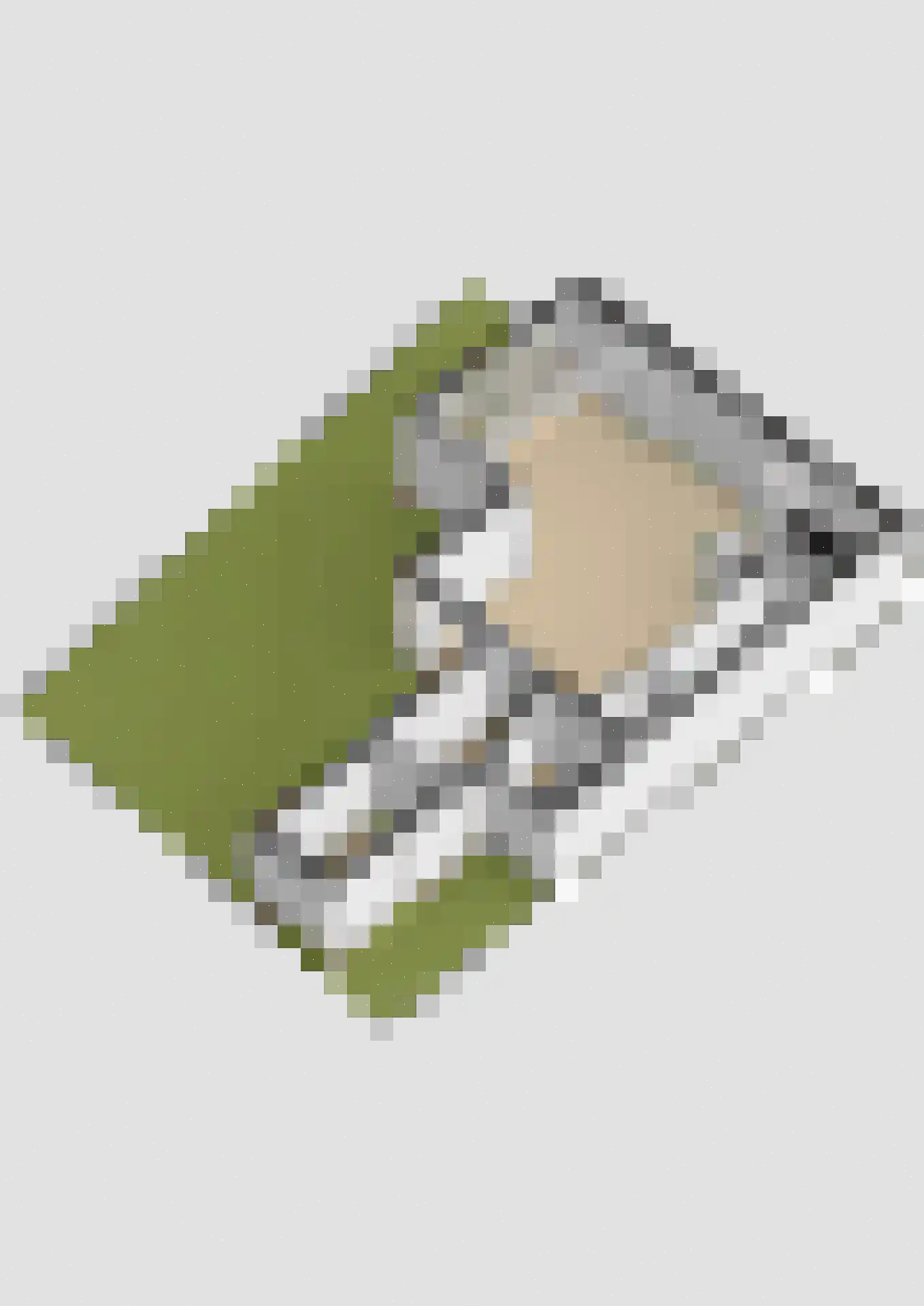 Kaagpoldererf 4 Gouda thumbnail 27