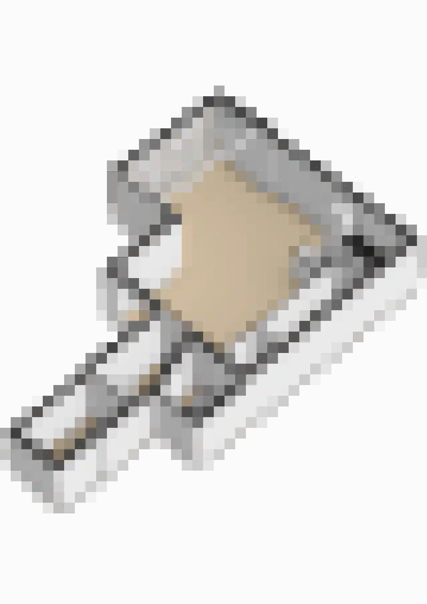 Kaagpoldererf 4 Gouda thumbnail 29