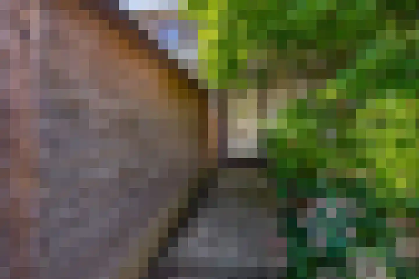 Kaagpoldererf 4 Gouda thumbnail 6