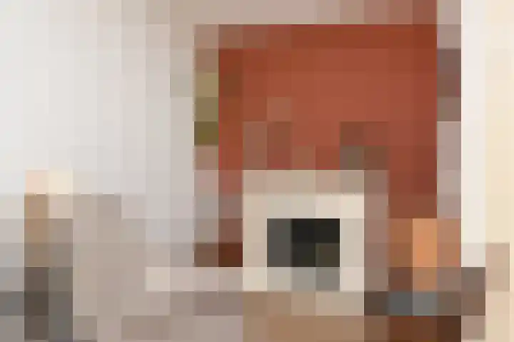 Kaagpoldererf 5 Gouda thumbnail 13