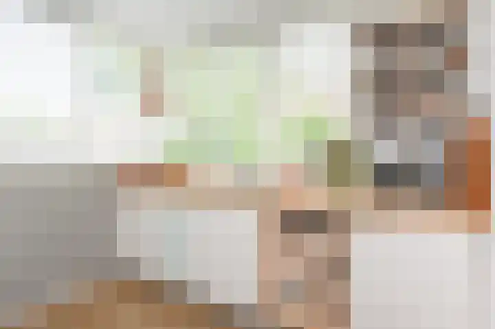 Kaagpoldererf 5 Gouda thumbnail 16