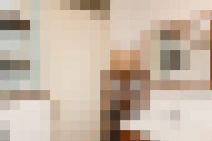 Kaagpoldererf 5 Gouda thumbnail 19