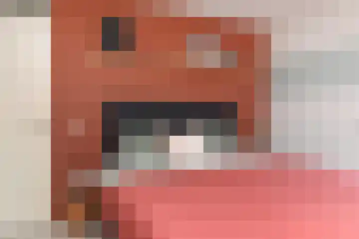 Kaagpoldererf 5 Gouda thumbnail 22