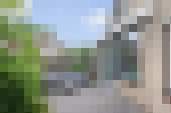 Kaagpoldererf 5 Gouda thumbnail 35