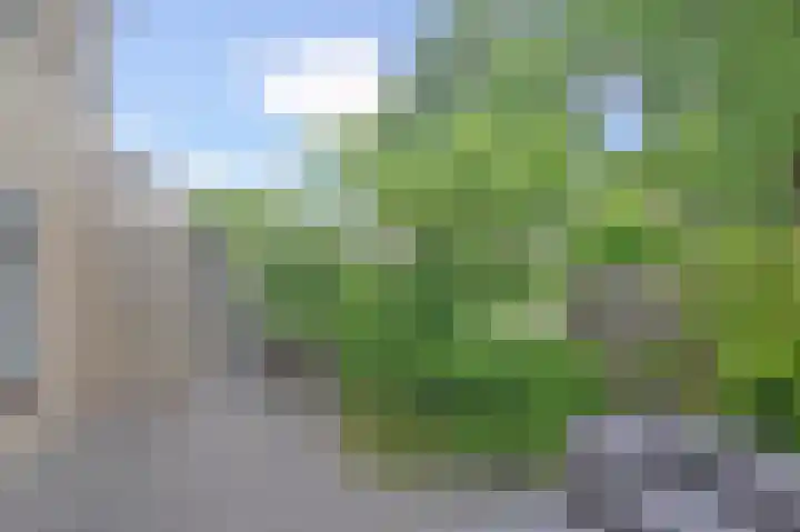 Kaagpoldererf 5 Gouda thumbnail 37