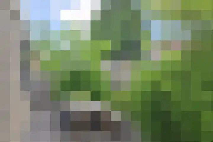 Kaagpoldererf 5 Gouda thumbnail 38