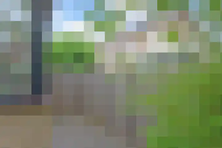 Kaagpoldererf 5 Gouda thumbnail 39