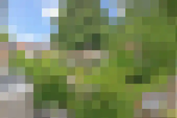 Kaagpoldererf 5 Gouda thumbnail 40
