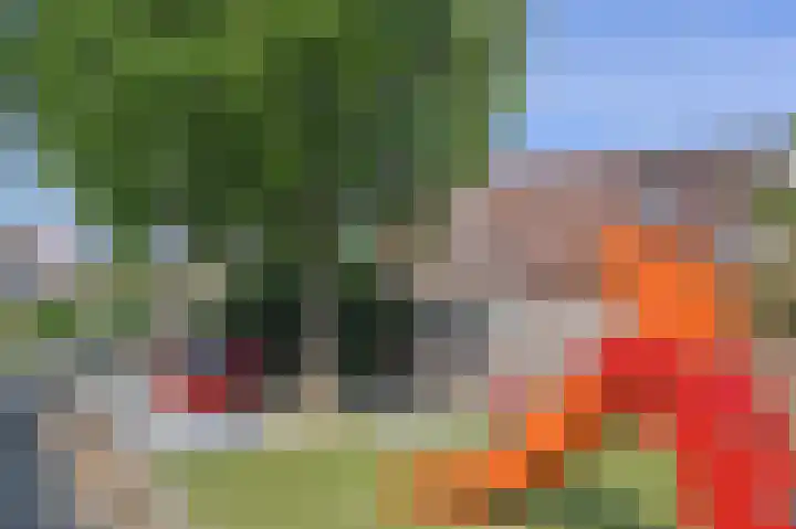 Kaagpoldererf 5 Gouda thumbnail 43