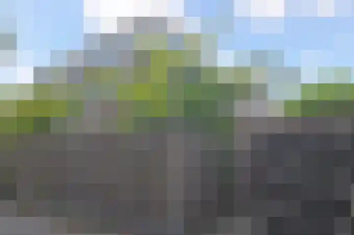 Kaagpoldererf 5 Gouda thumbnail 44
