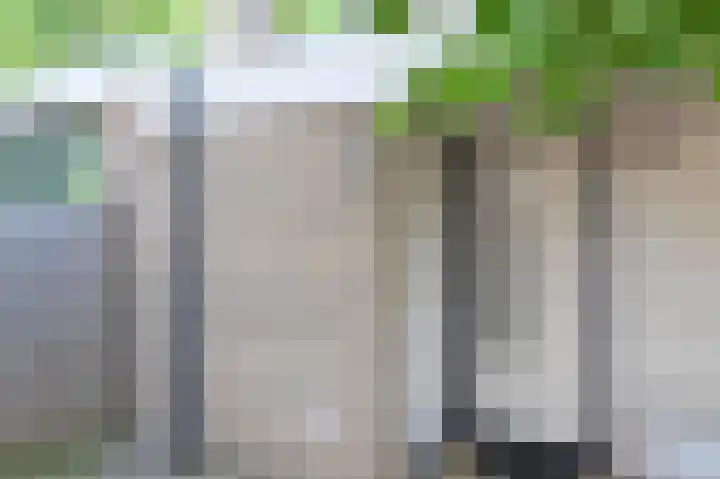 Kaagpoldererf 5 Gouda thumbnail 5