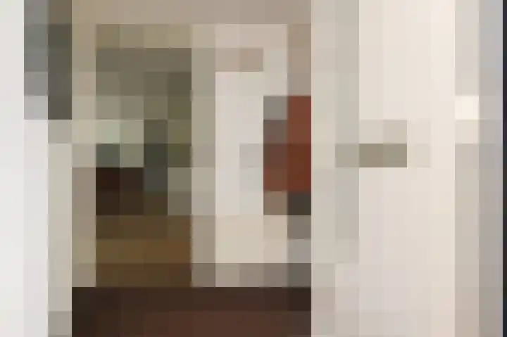 Kaagpoldererf 5 Gouda thumbnail 6