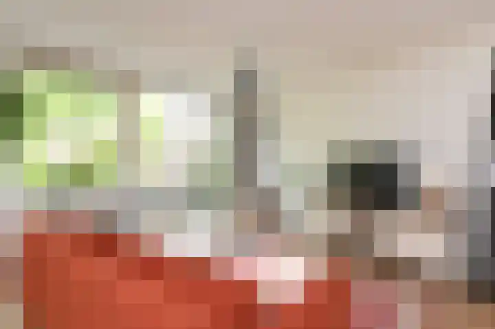 Kaagpoldererf 5 Gouda thumbnail 9