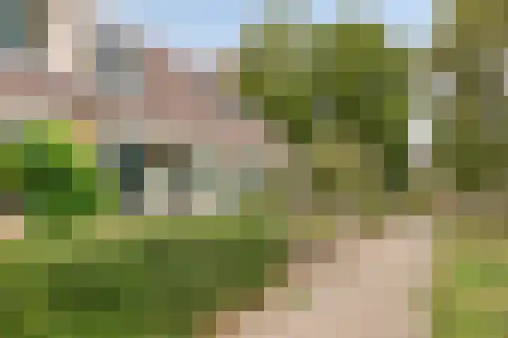 Kaagstraat 10 Kolhorn thumbnail 5
