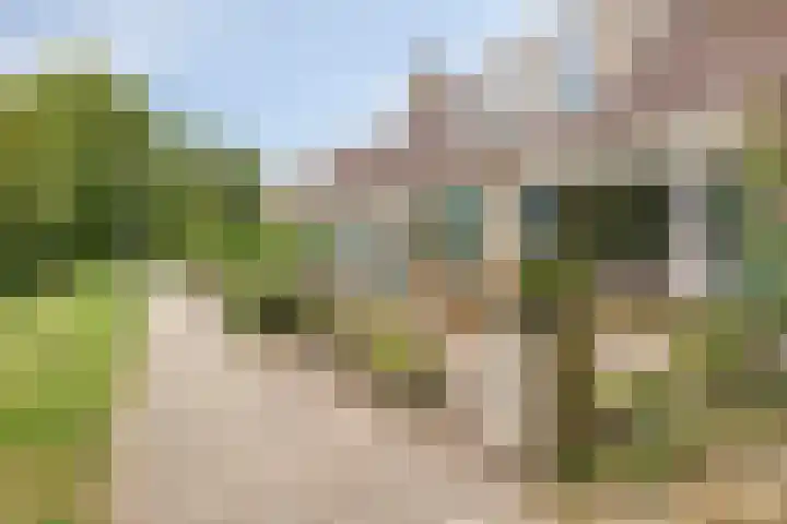 Kaagstraat 10 Kolhorn thumbnail 8