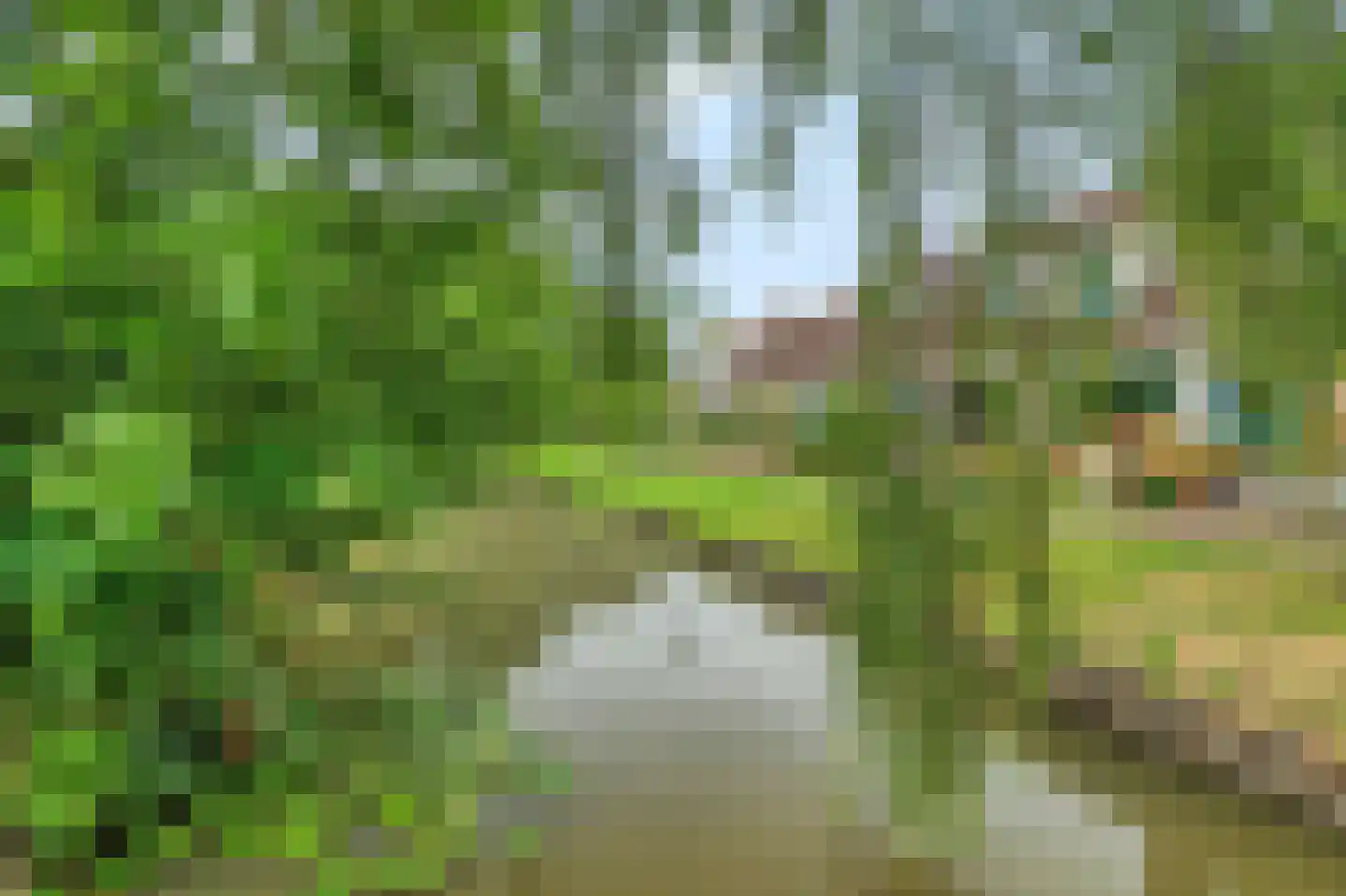 Kaagstraat 12 Kolhorn thumbnail 5