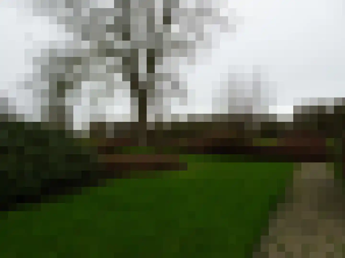 Kaagstraat 13 Kolhorn thumbnail 24