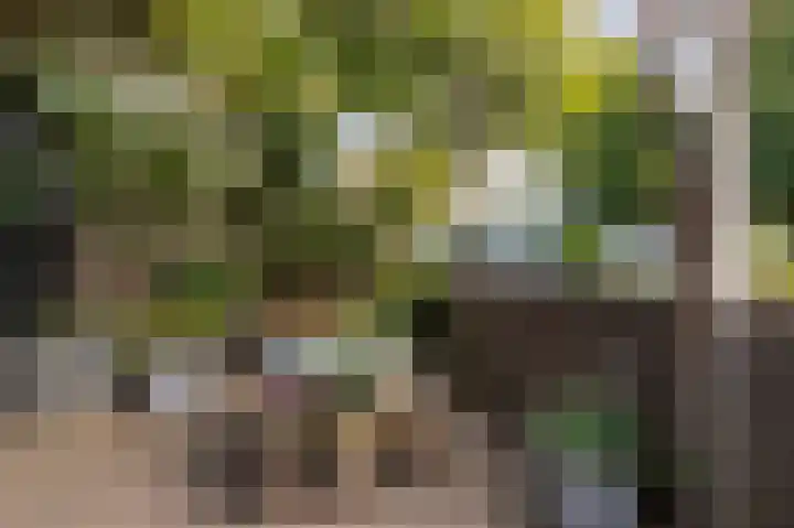 Kaagstraat 2 Warmond thumbnail 39