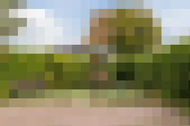 Kaagstraat 2 Warmond thumbnail 41