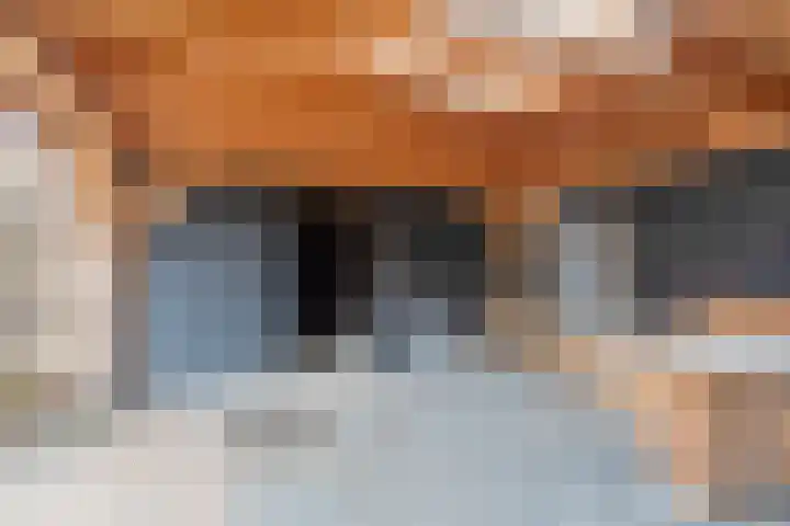 Kaagstraat 30 Kolhorn thumbnail 43