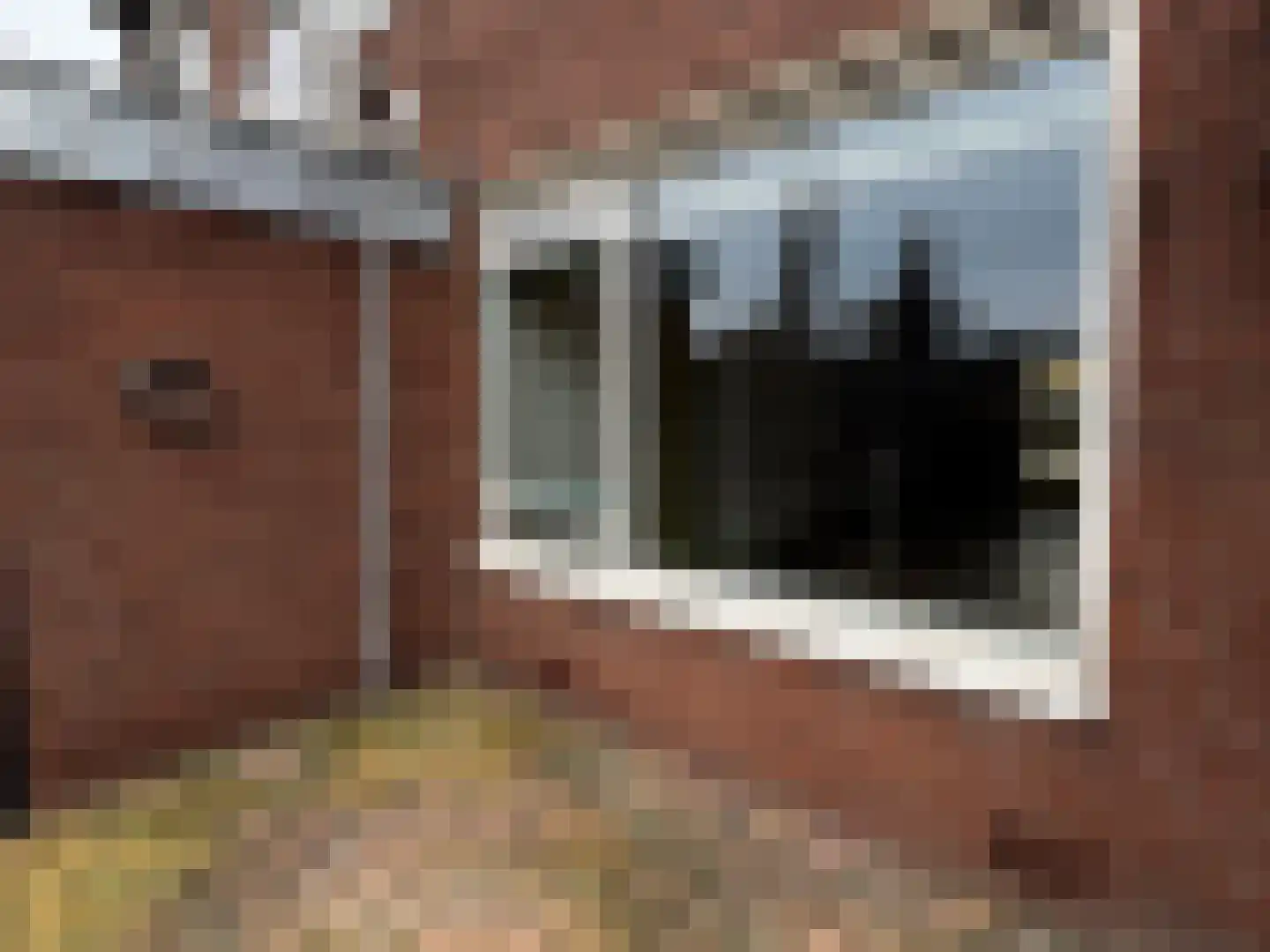 Kaagweg 102 Wervershoof thumbnail 31