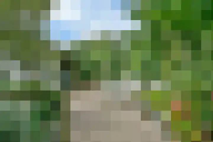 Kaagweg 149 Abbenes thumbnail 16