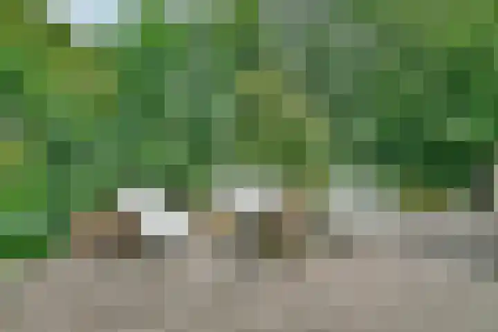 Kaagweg 149 Abbenes thumbnail 17