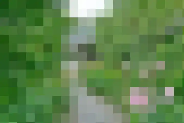 Kaagweg 149 Abbenes thumbnail 18