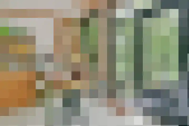 Kaagweg 149 Abbenes thumbnail 22