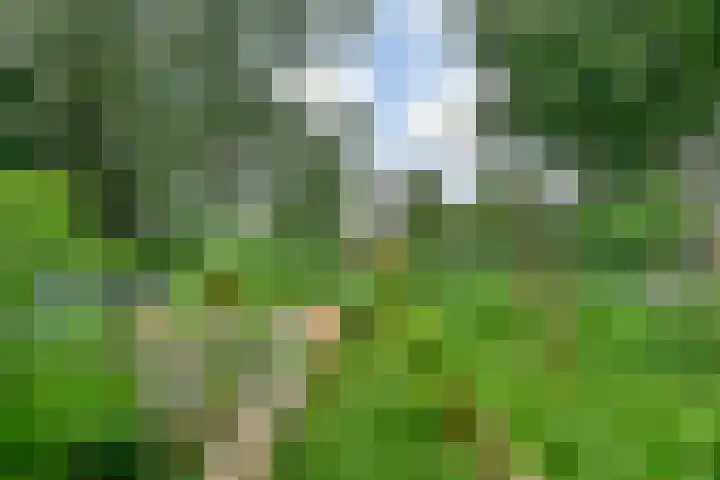 Kaagweg 149 Abbenes thumbnail 23