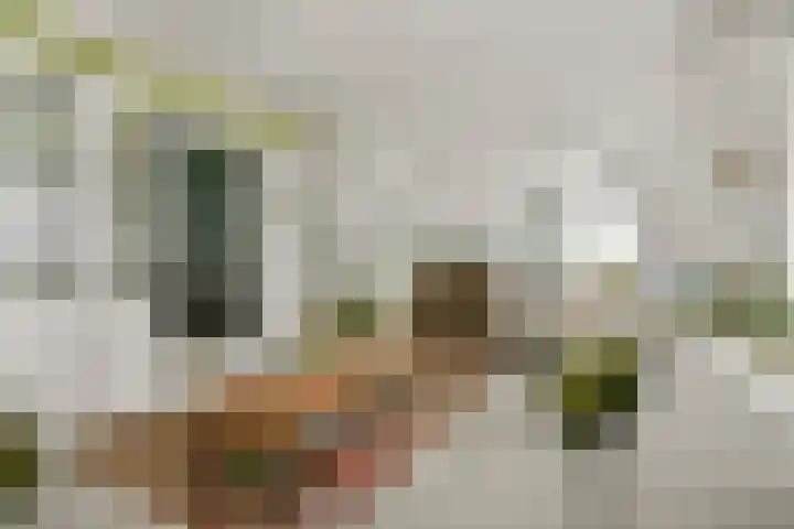 Kaagweg 149 Abbenes thumbnail 7