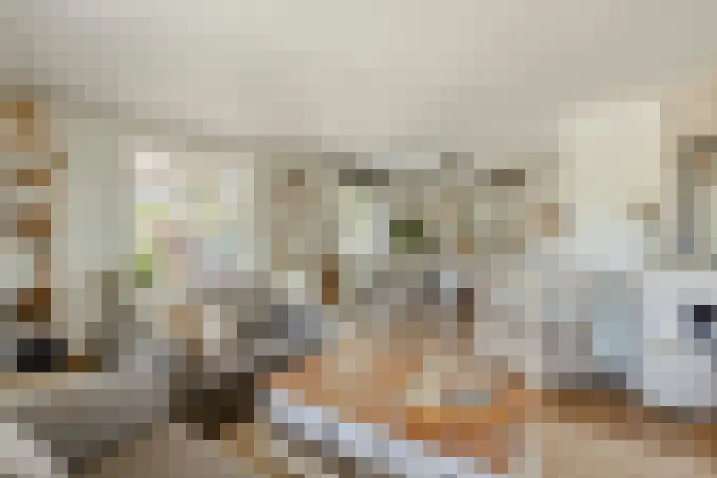 Kaagweg 21 Abbenes thumbnail 10
