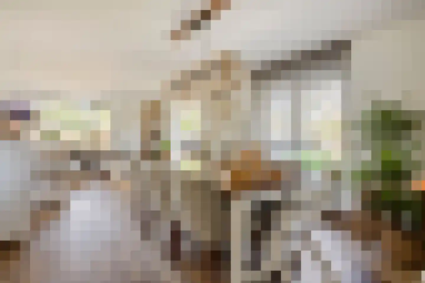 Kaagweg 21 Abbenes thumbnail 13