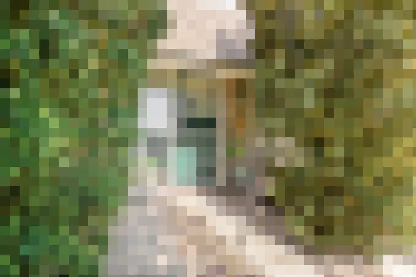 Kaagweg 21 Abbenes thumbnail 4