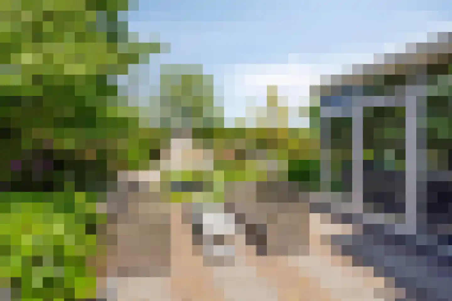 Kaagweg 21 Abbenes thumbnail 42