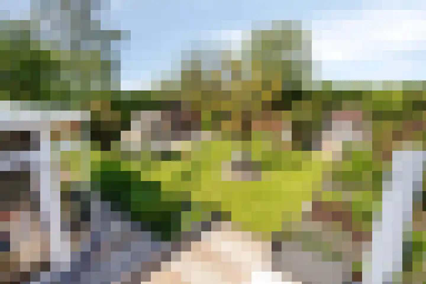 Kaagweg 21 Abbenes thumbnail 47