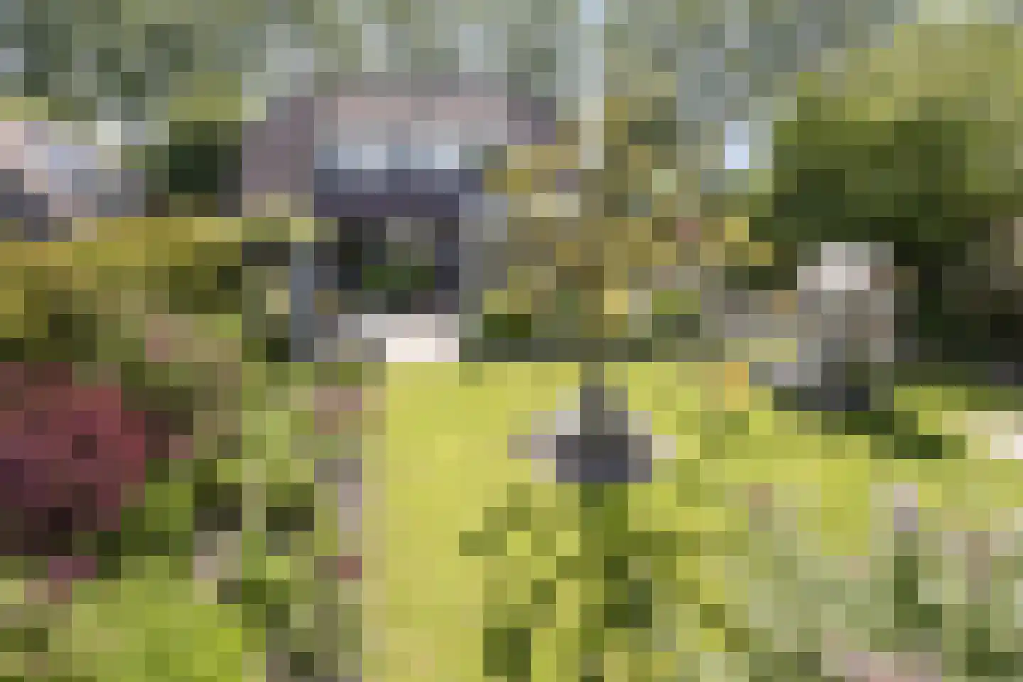 Kaagweg 21 Abbenes thumbnail 48
