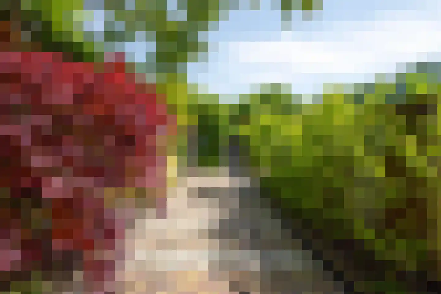 Kaagweg 21 Abbenes thumbnail 52