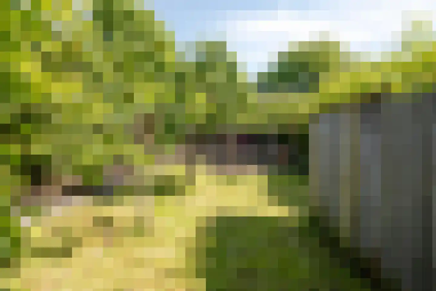 Kaagweg 21 Abbenes thumbnail 55