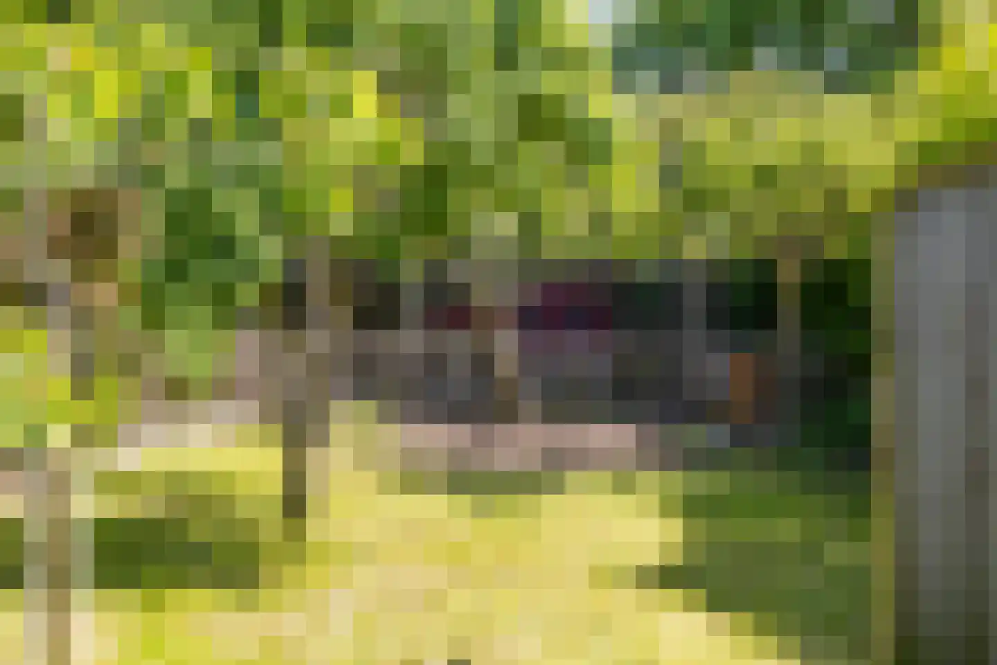 Kaagweg 21 Abbenes thumbnail 56