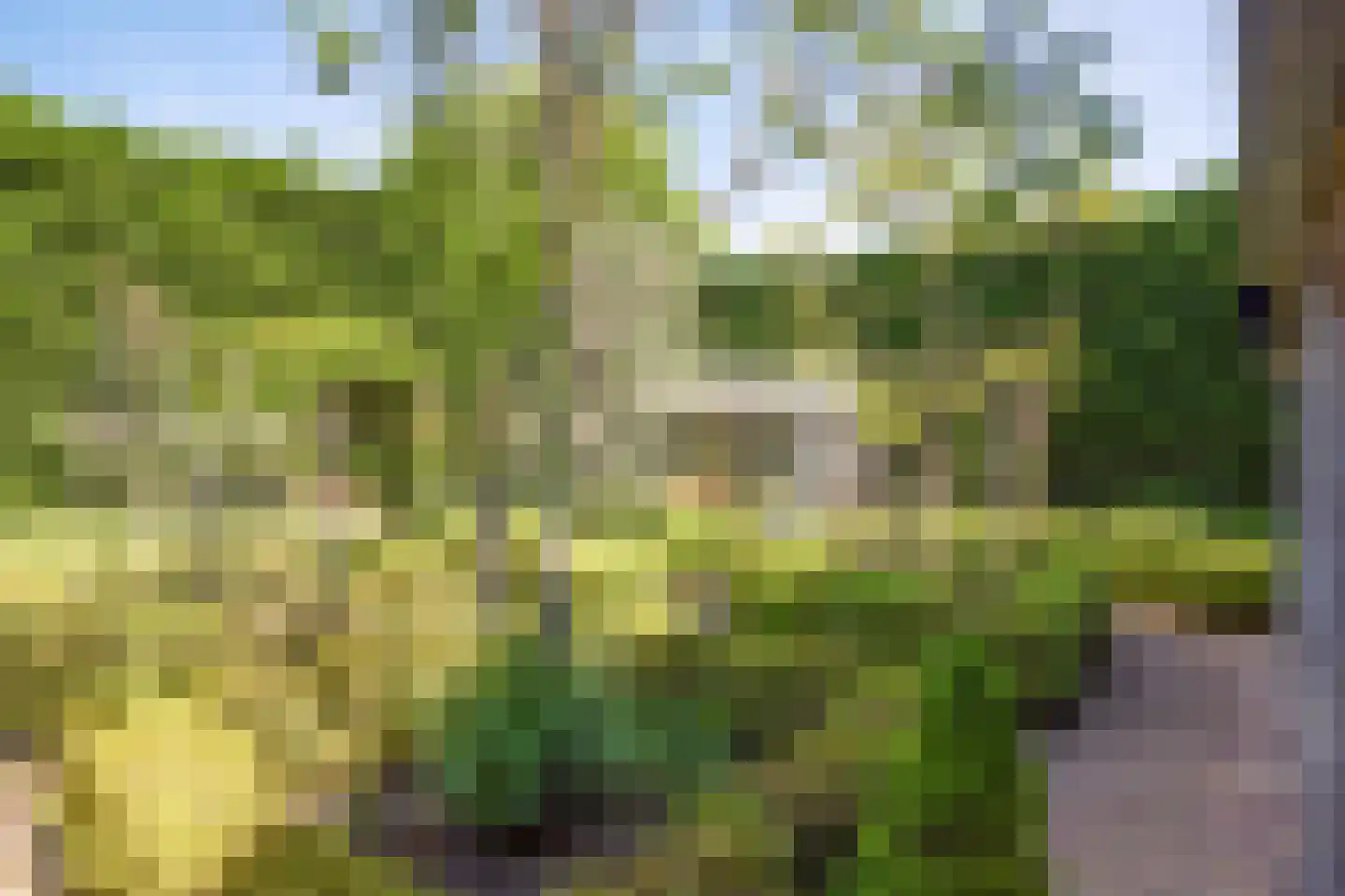 Kaagweg 21 Abbenes thumbnail 57