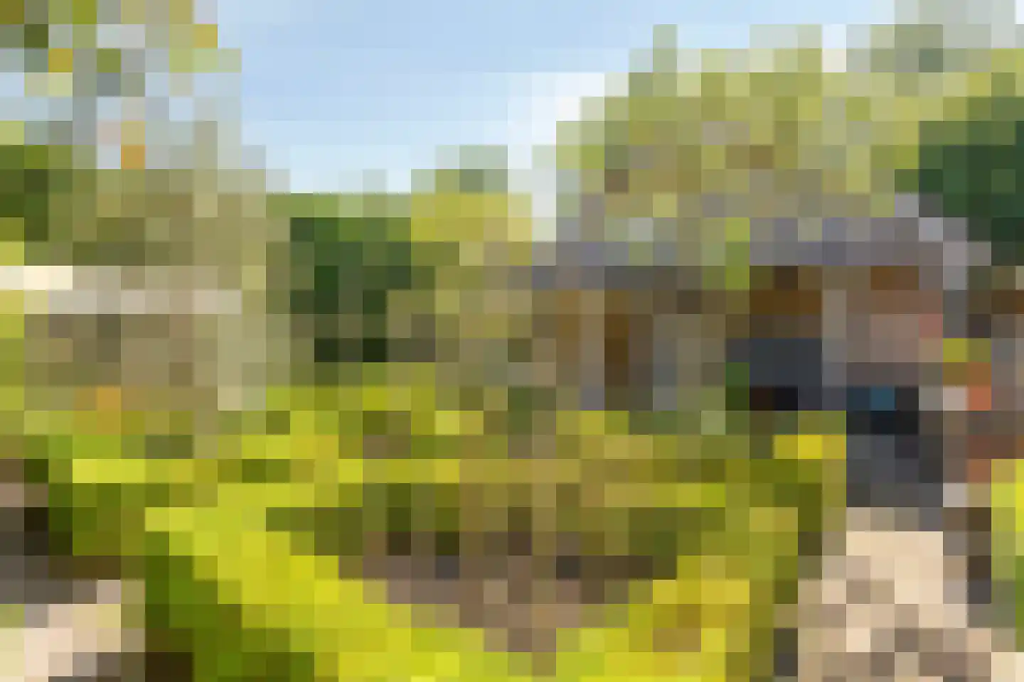 Kaagweg 21 Abbenes thumbnail 58