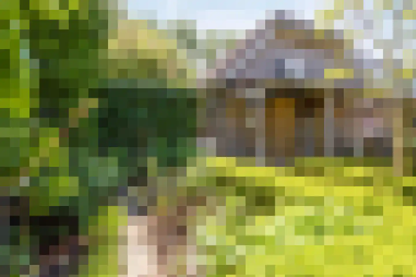 Kaagweg 21 Abbenes thumbnail 59