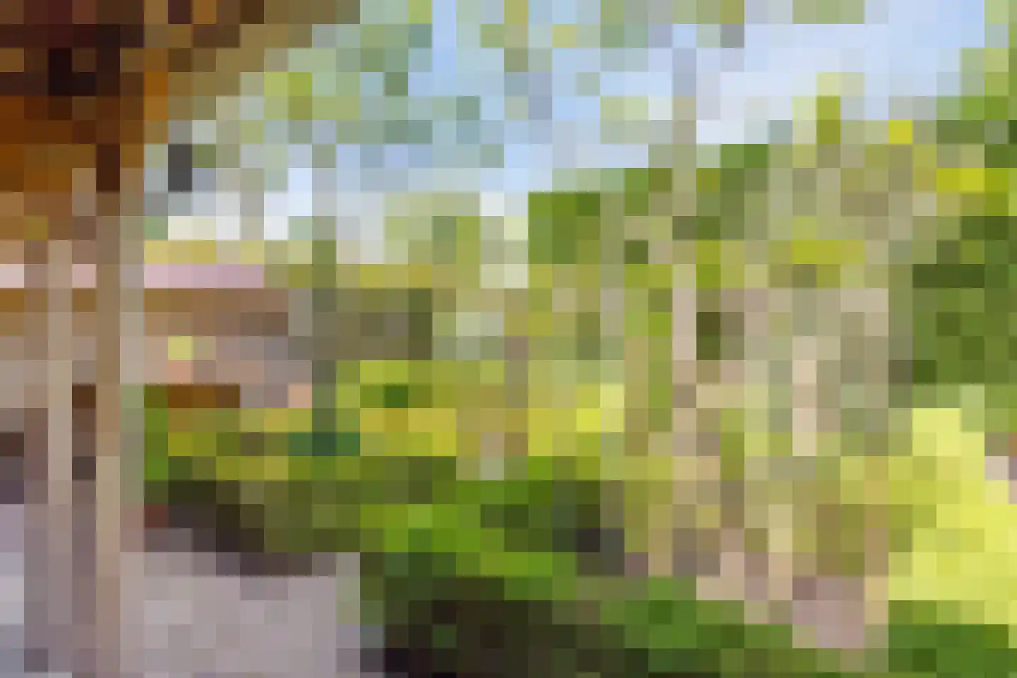 Kaagweg 21 Abbenes thumbnail 60