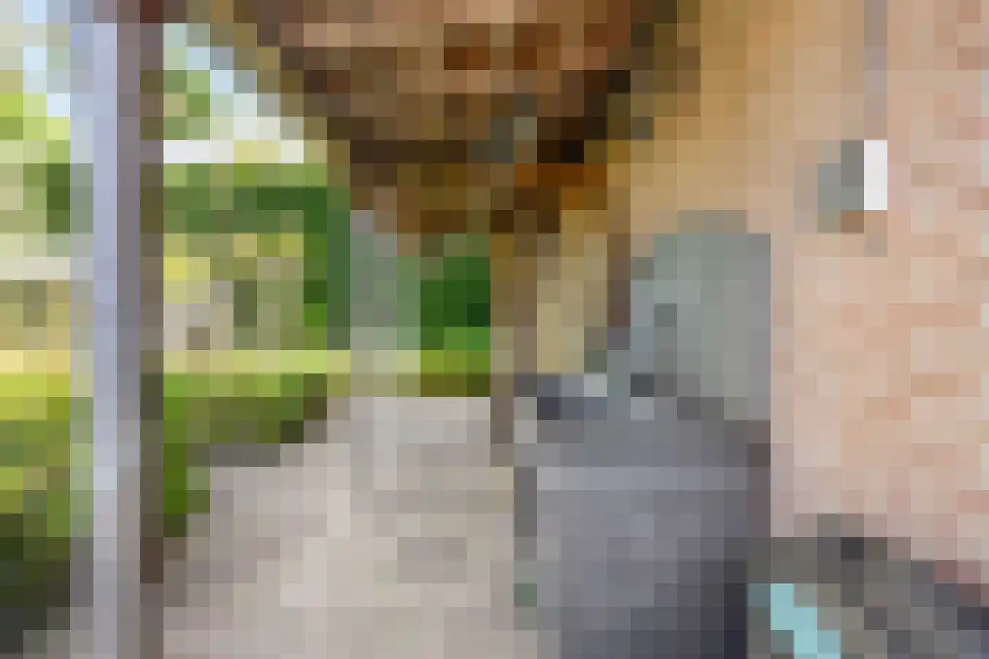Kaagweg 21 Abbenes thumbnail 61