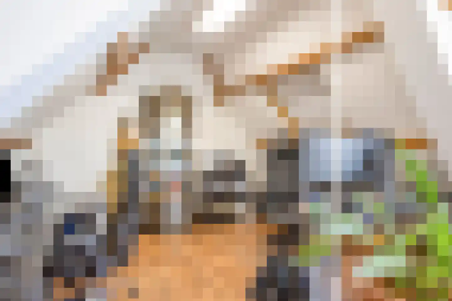 Kaagweg 21 Abbenes thumbnail 68