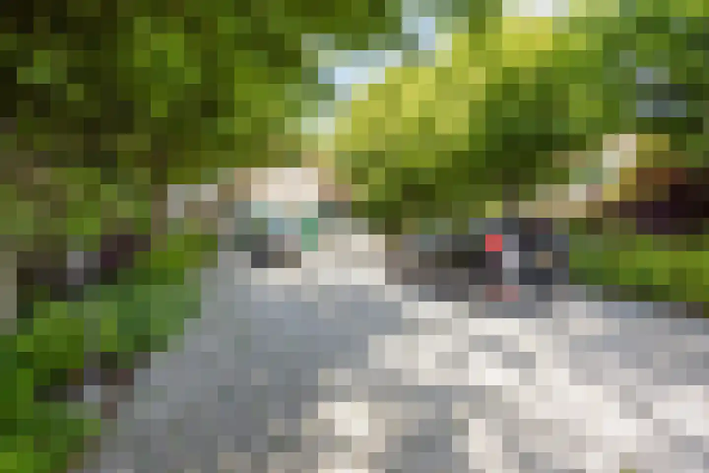 Kaagweg 21 Abbenes thumbnail 71